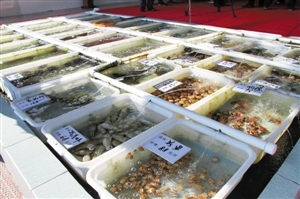 南澳海鮮餐廳推新模式 取消加工費(fèi)，強(qiáng)化銷售品質(zhì)承諾
